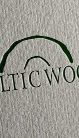 Logo firmy Baltic Wood